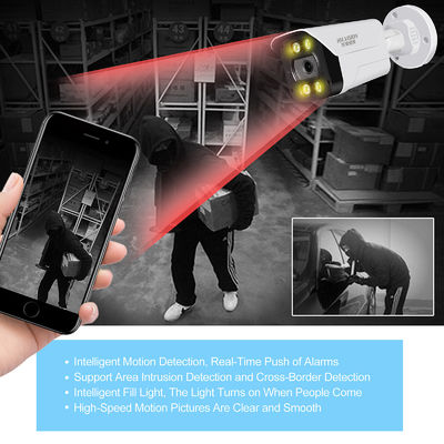 Style Bullet C2240TD-10C Poe Network Camera Night Vision Distance 10-30 Meters