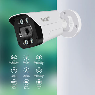 C2240TD-10E POE Network Camera With Digital Wide Dynamic And White Color